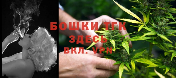 твердый Алексин