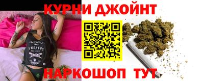 индика Будённовск
