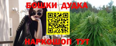 индика Будённовск