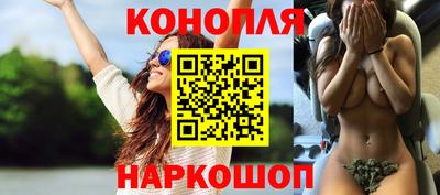 индика Будённовск