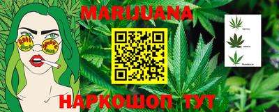 индика Будённовск