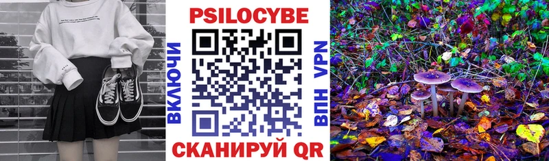 Галлюциногенные грибы мицелий  Губкин 