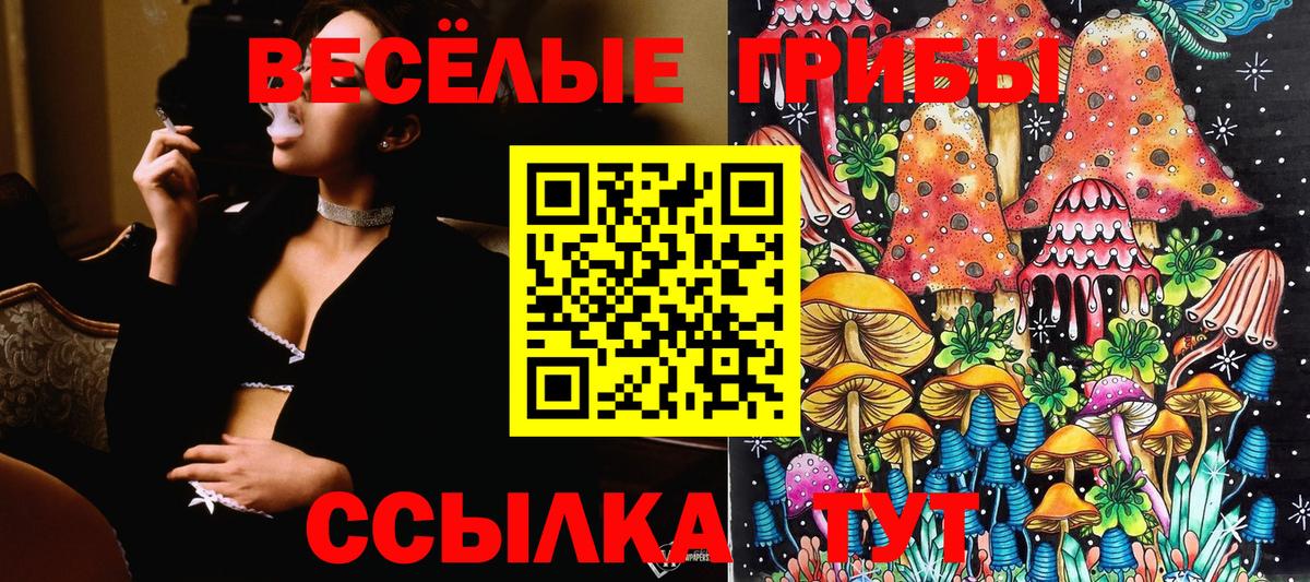 Псилоцибиновые грибы MAGIC MUSHROOMS Губкин