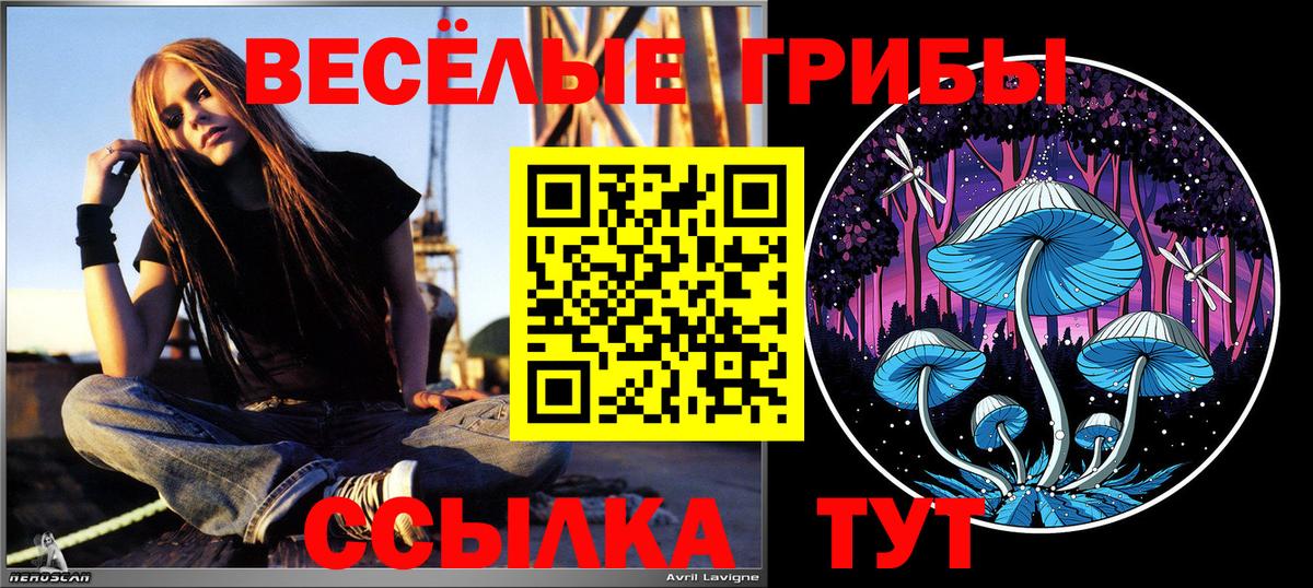 ЭКСТАЗИ  COCAIN  Вход с VPN  ГАШ  Губкин  Меф  