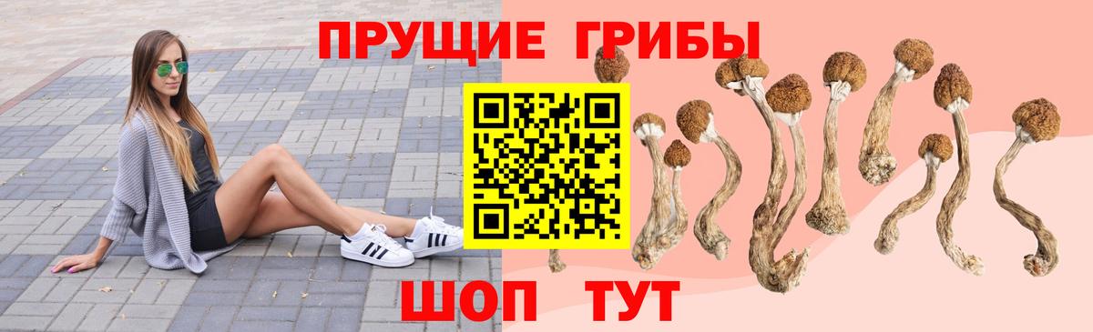Губкин  Псилоцибиновые грибы мухоморы  как найти наркотики  Вход с VPN 